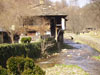 Etara